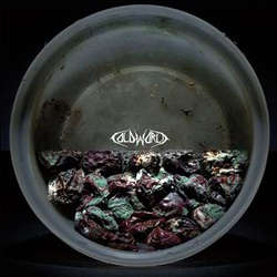Hummingbird Of Death / Cold World - split LP (image for) Hummingbird Of Death / Cold World - split LP