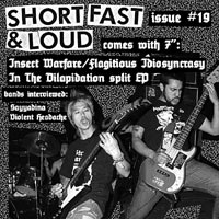 Short, Fast, And Loud - #19 Zine with 7"