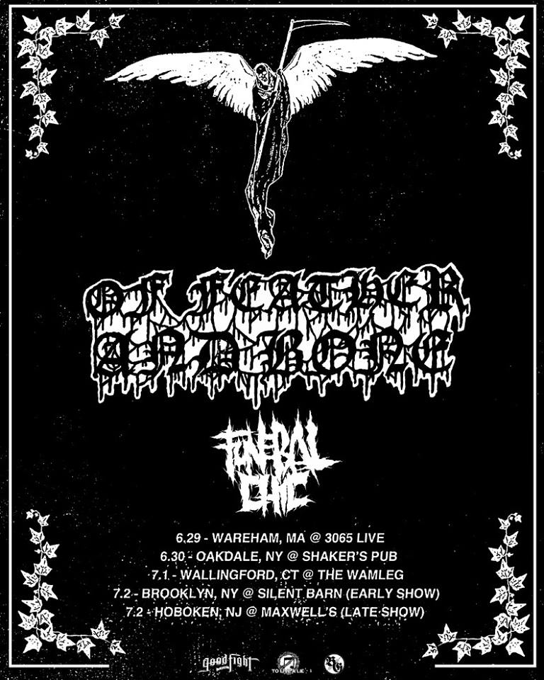 Upcoming release announcement: Funeral Chic - Hatred Swarm LP