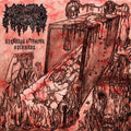 Mephitic Corpse - Sickness Attracts Sickness CS