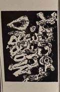 Morbid Life Society - 1991 and 1988 Demos CS