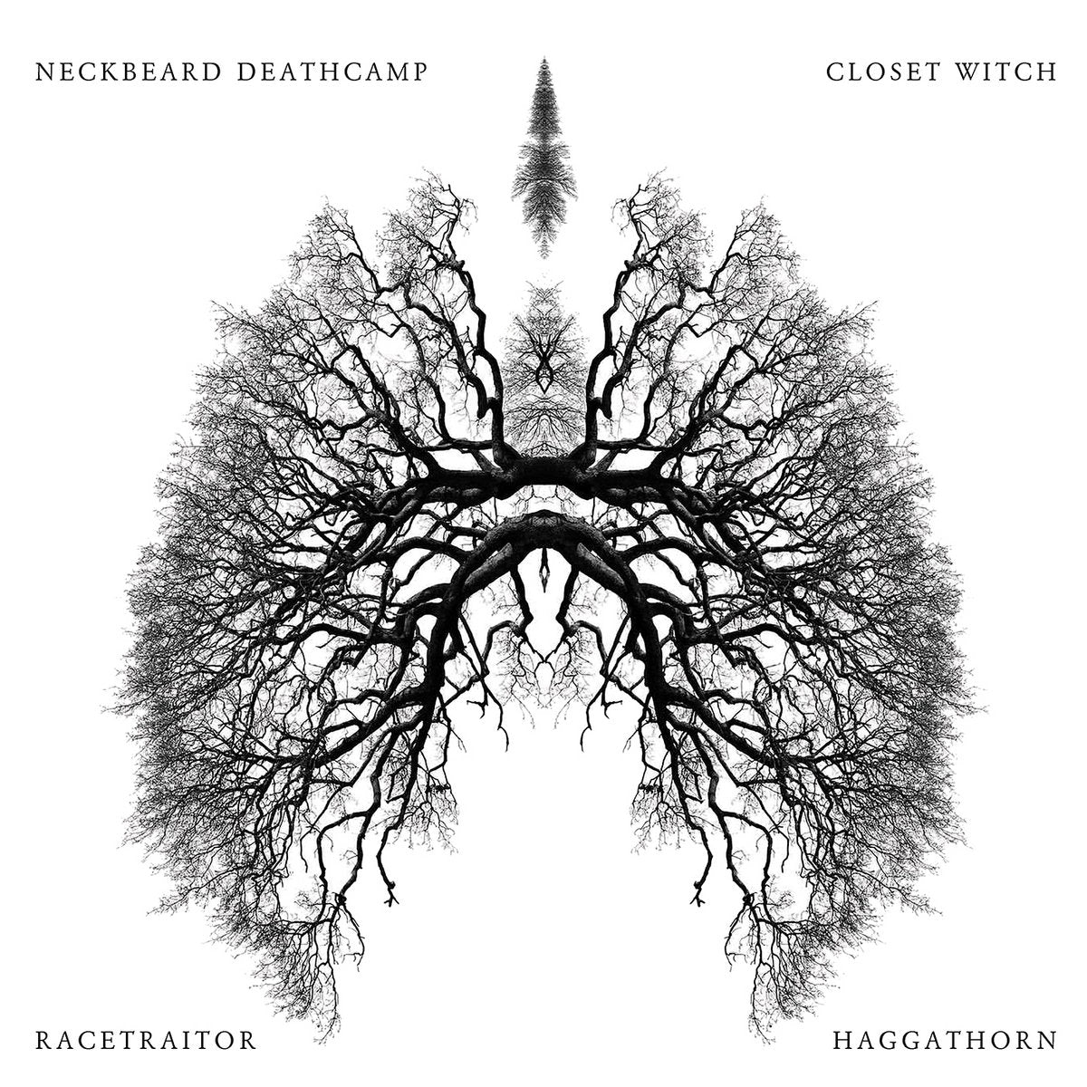 Racetraitor / Closet Witch / Neckbeard Deathcamp / Haggathorn - 2x7"